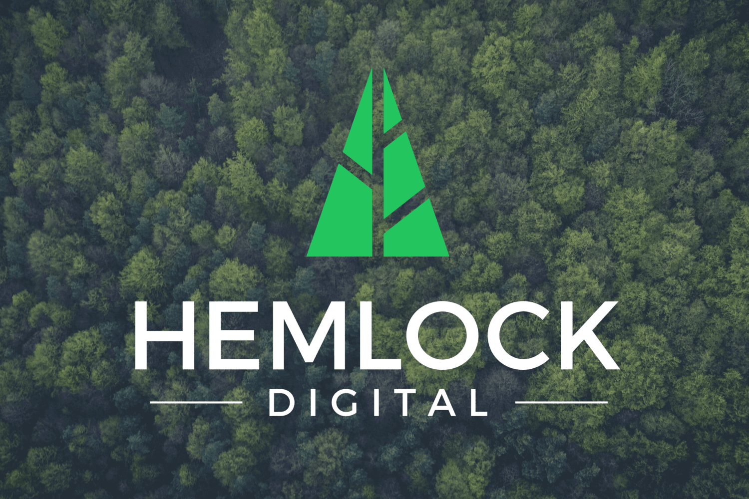 Hemlock Digital logo on a background of trees.